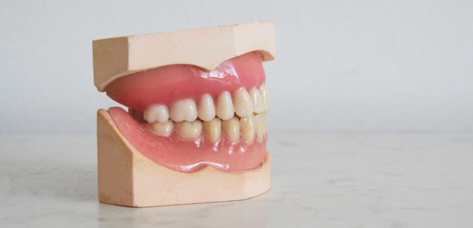teeth-model